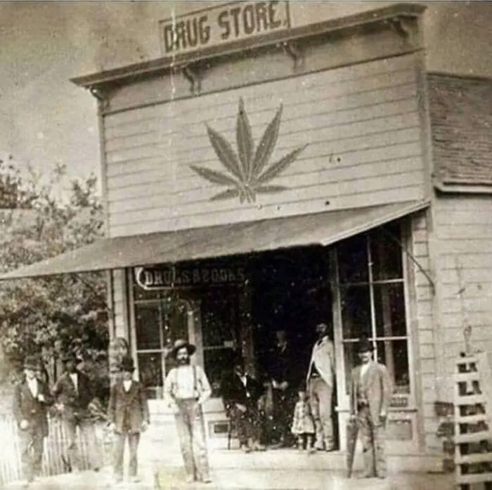 Mucha gente piensa que el cannabis es una nueva tendencia, pero la verdad es que se remonta a 1800