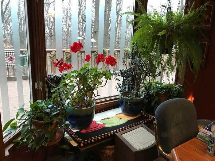 My Kitchen View