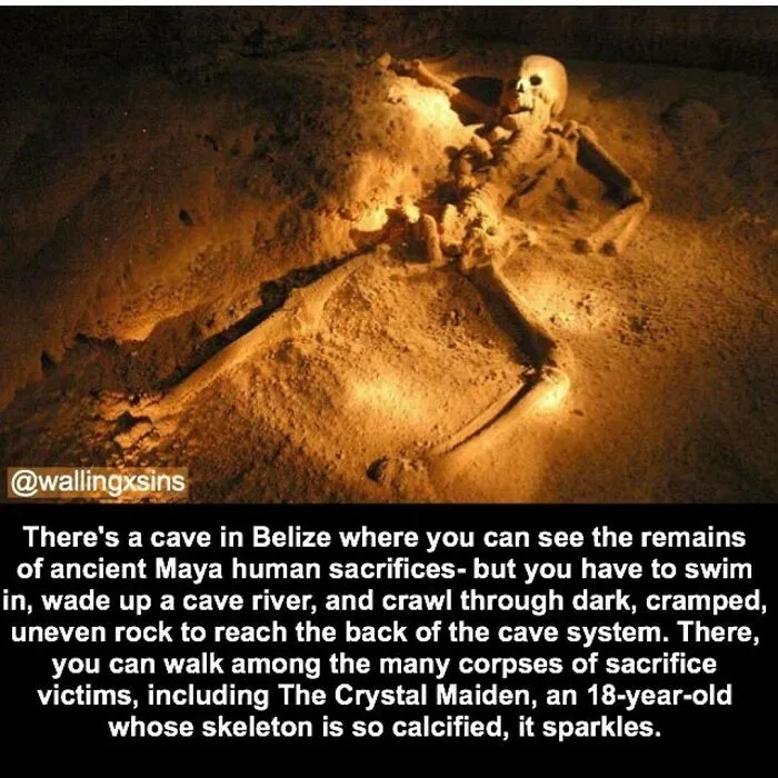 21 Creepy Facts Not For The Faint-Hearted, As Shared On This Instagram Page