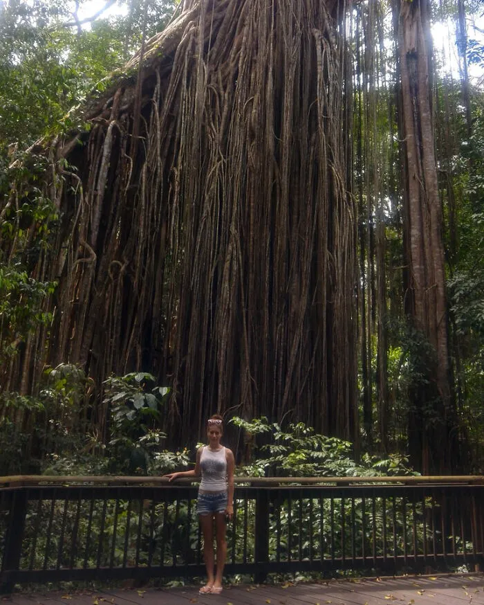 Roots