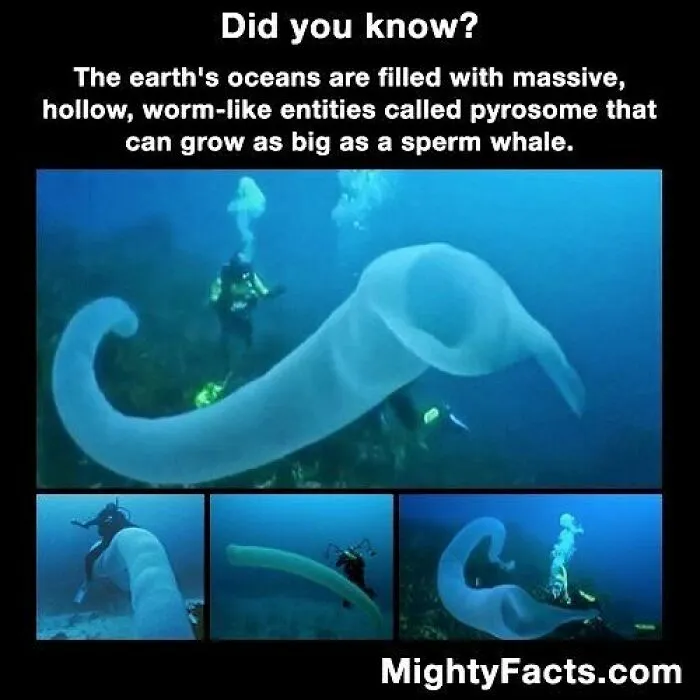 21 Creepy Facts Not For The Faint-Hearted, As Shared On This Instagram Page