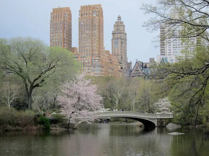 New York City Is A Birding Paradise