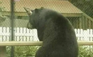 50 Hilarious And Bizarre Pics Of Animals “Where They Shouldn’t Be”
