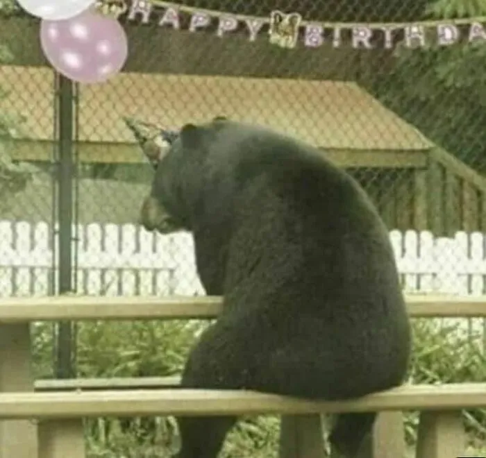 Animals-Places-They-Shouldnt-Be-Pics