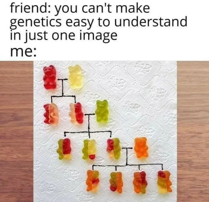 This Instagram Account Shares 50 Funny Memes That Might Actually Teach You Something (New Pics)