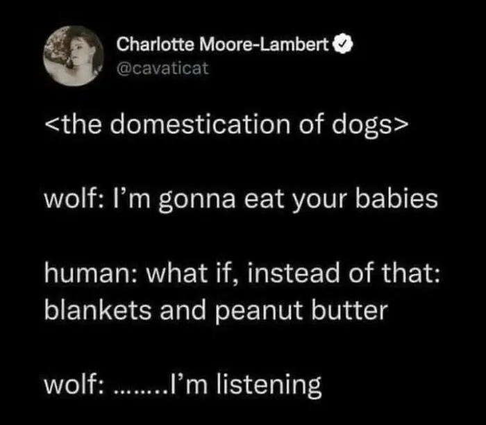 This Instagram Account Shares 50 Funny Memes That Might Actually Teach You Something (New Pics)