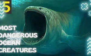 15 Most Dangerous Ocean Creatures In The World