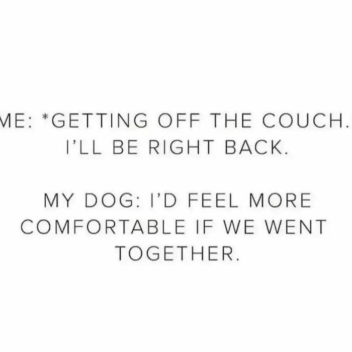 50 Hilarious Memes For People To Relate To, As Shared By This Account With 4.1M Followers