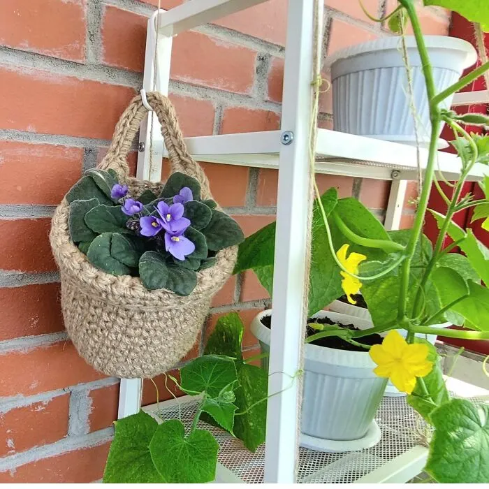 Minimalist Plant Hanger Wall Garden Decoration