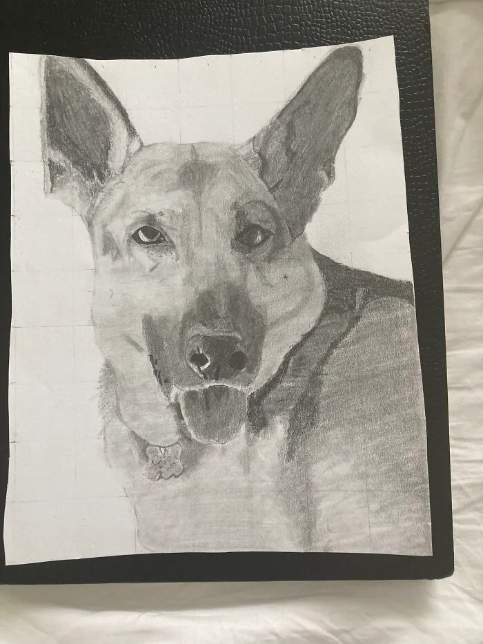 I Drew My Friends Dog