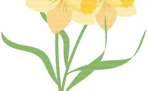 Daffodile Flower Motivation Quote