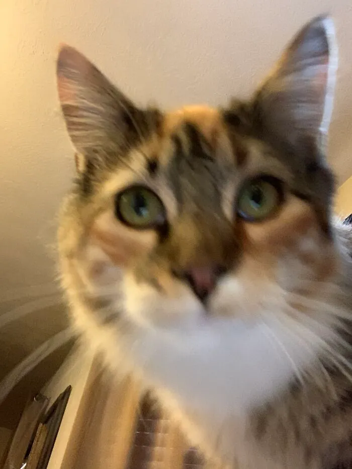 She’s Photogenic Not Matter How Much She’s Moving Around!