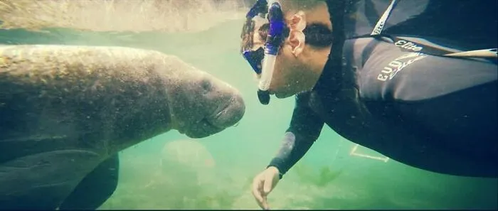 I Am An Underwater Enthusiast And Videographer, And Here Are Some Of The Closest Moments I Had With Apex Predators