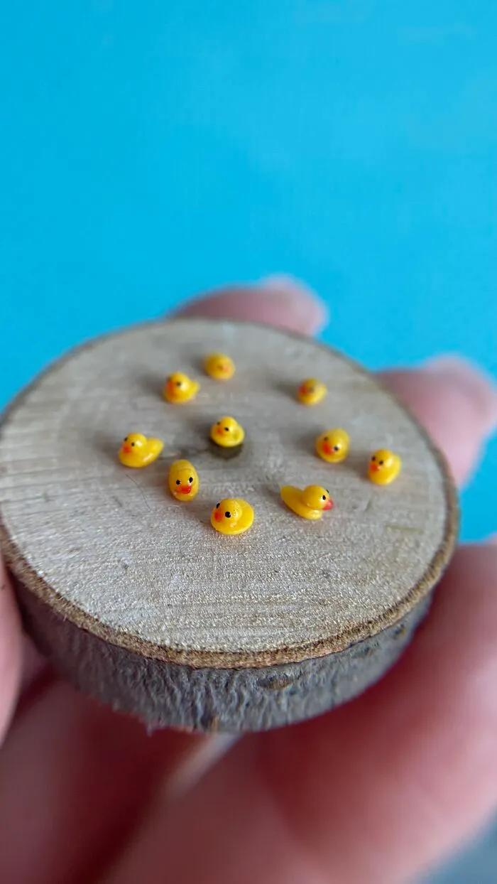 I Create Tiny Worlds Inside Walnut Shells (21 Pics)