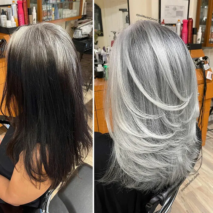 En lugar de teñir sus raíces canosas, este estilista logró que sus clientas lucieran una bella cabellera gris (35 imágenes nuevas)
