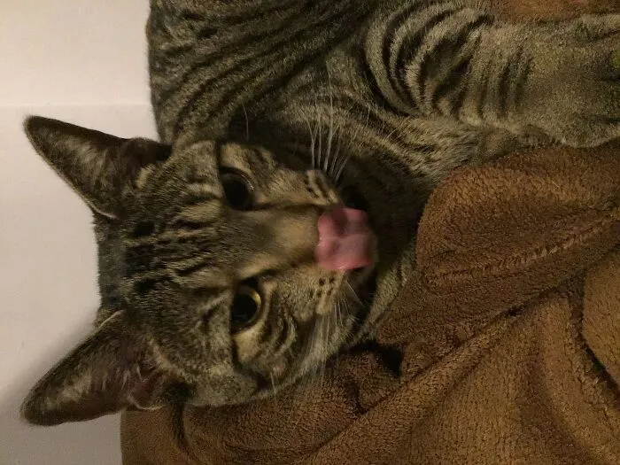 This Is Hermes