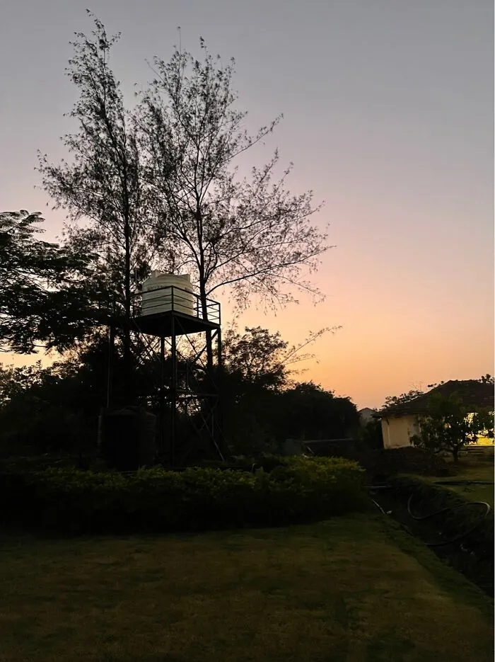 Sunset Vibes