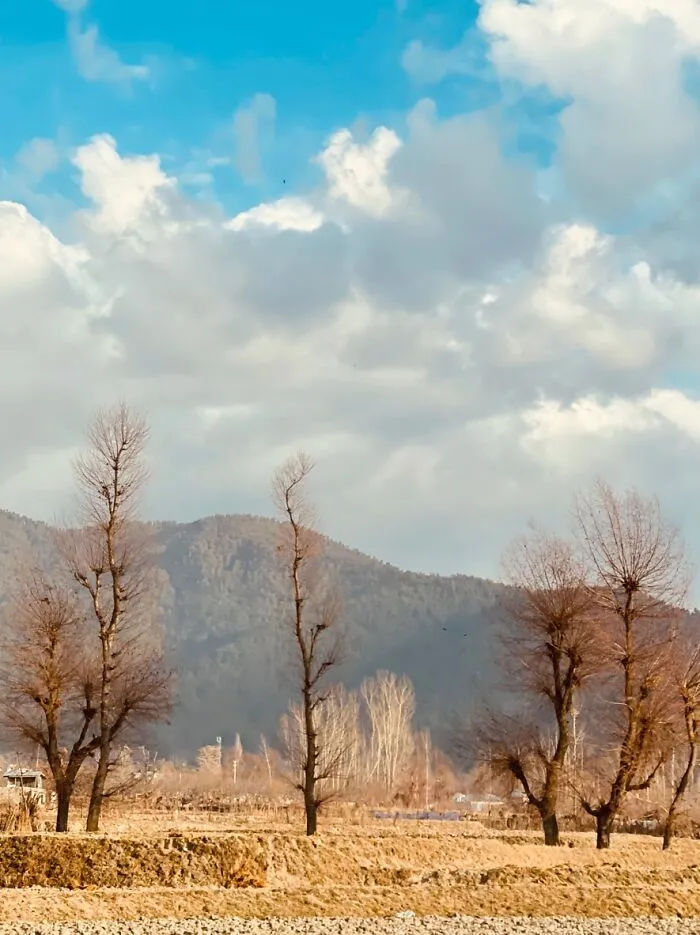 Clear Day