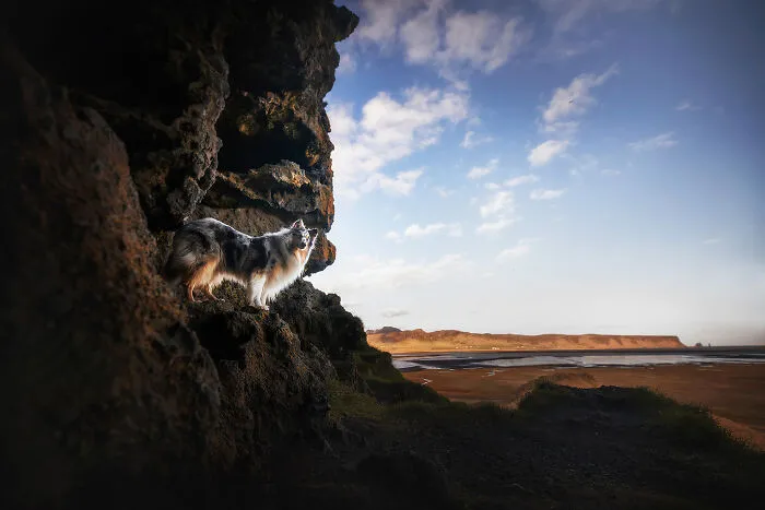 Blue Sky Above Iceland