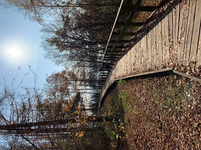 Long Walking On An Autumn Sunny Day, When Everything Around Is Already Brown, It's The Most Beautiful Time Of The Year For Me