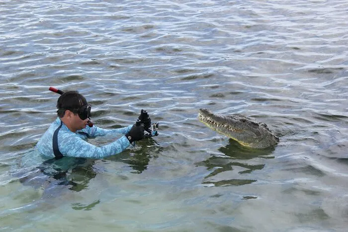 I Am An Underwater Enthusiast And Videographer, And Here Are Some Of The Closest Moments I Had With Apex Predators