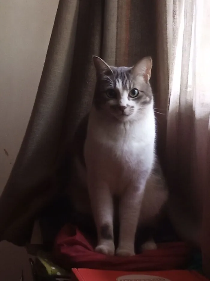 Meet Roosevelt