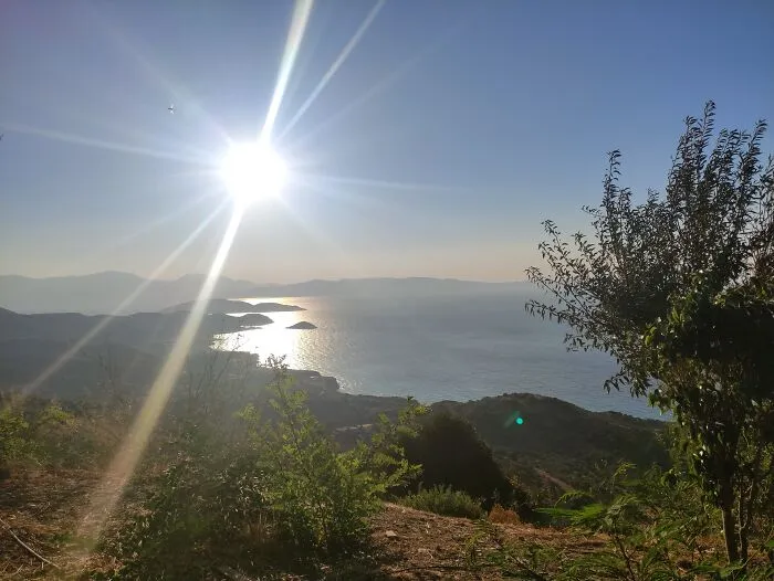 The Sun Will Always Shine
