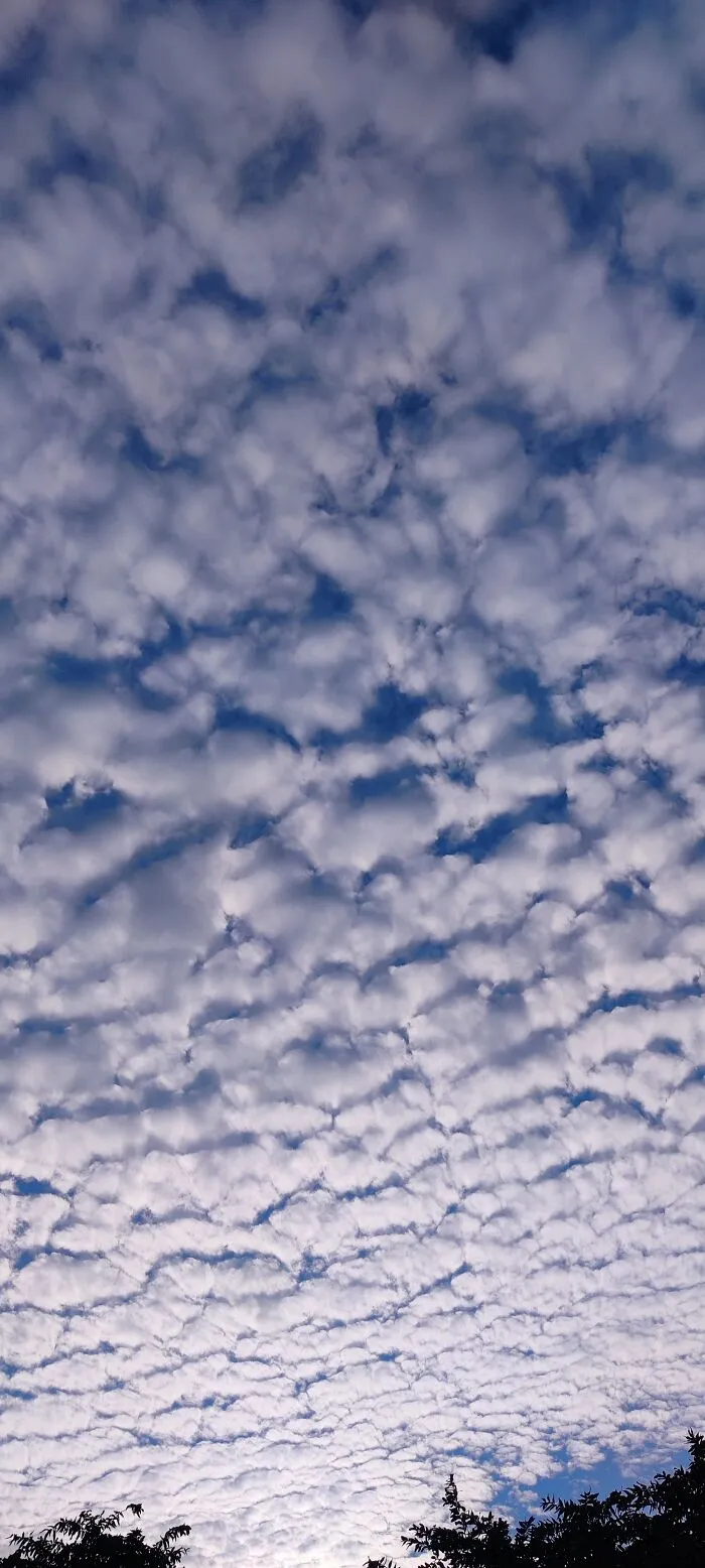 Nature's Canvas