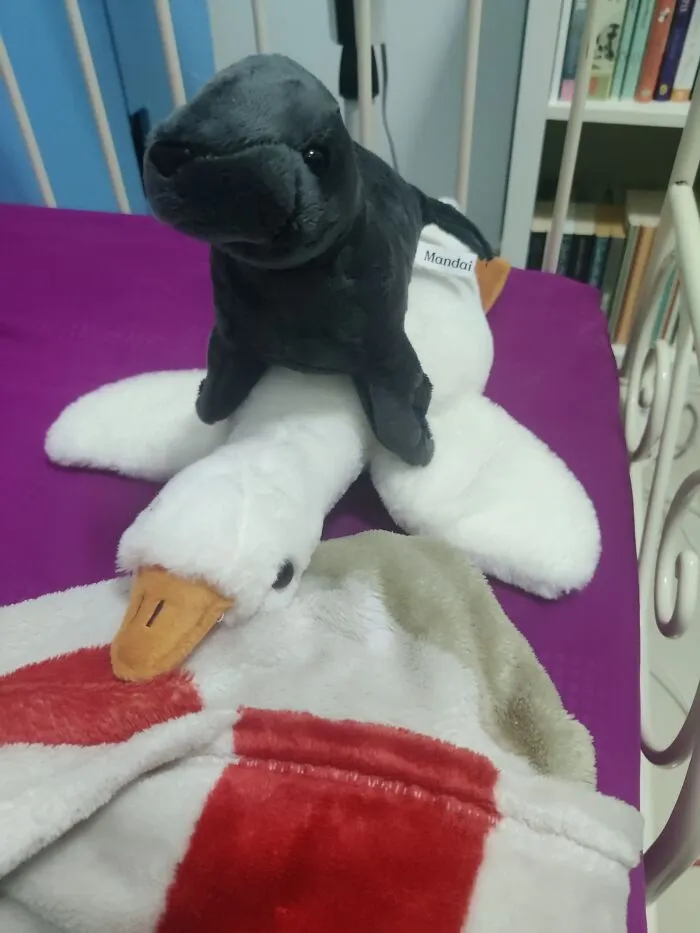 The Goose Is Welly And The Otter Is Olaf