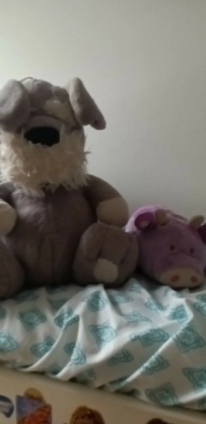 Grey (The Dog) And Lucy (The Cow)