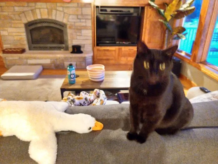 She Was Not Happy About My Friend's Christmas Gift