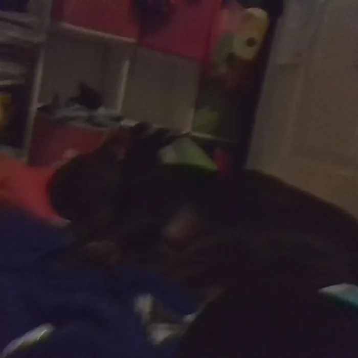Currently Snoring