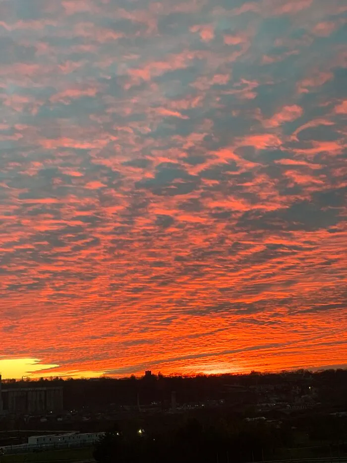 The First Month Of Autumn - September, Evening, No Filter. It Looks Like The Sky Is On Fire
