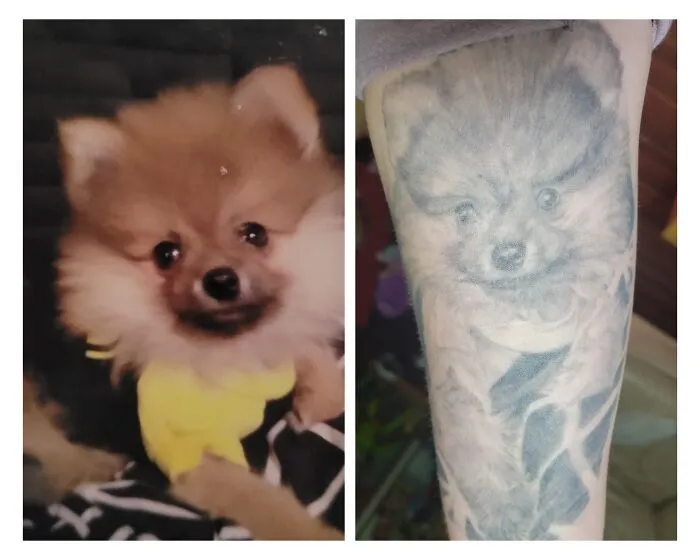 Pomeranian Tattoo