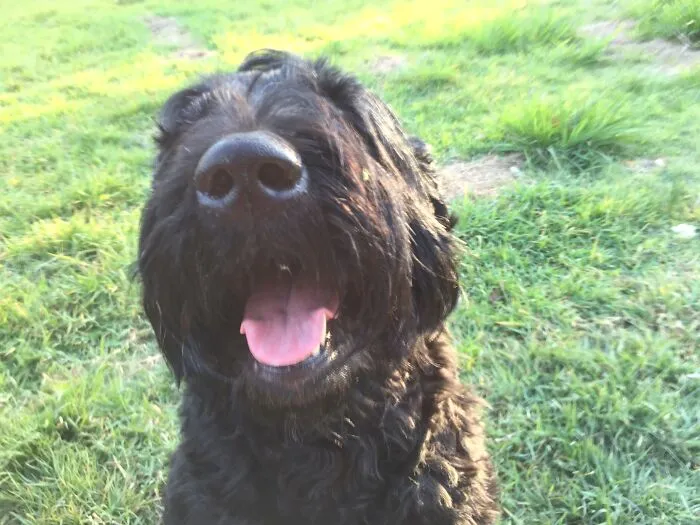 I's The Bestest Boi.......jc
