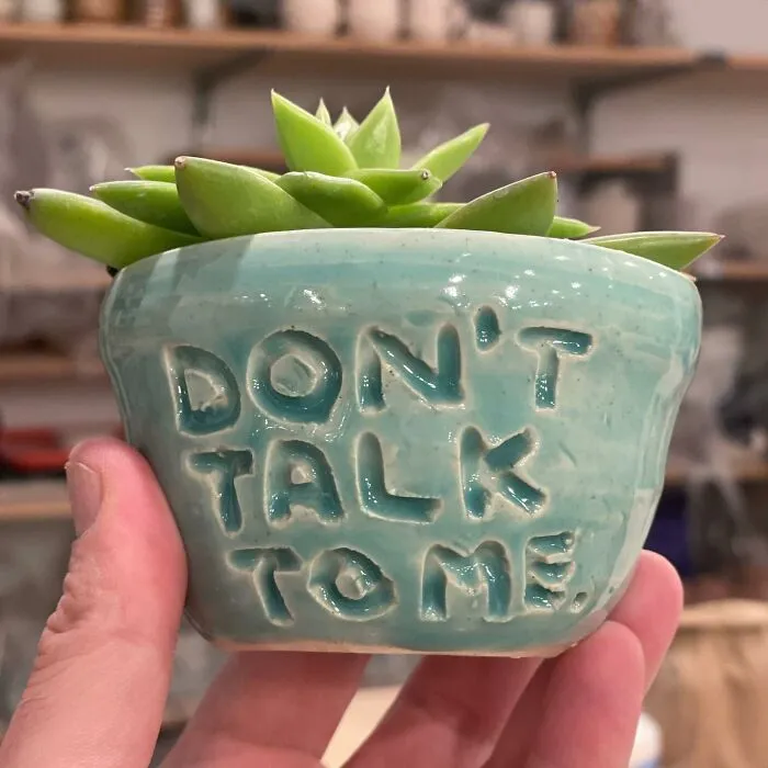My 40 Ceramics Pieces With An Attitude That I Upcycled From Unwanted Dishes