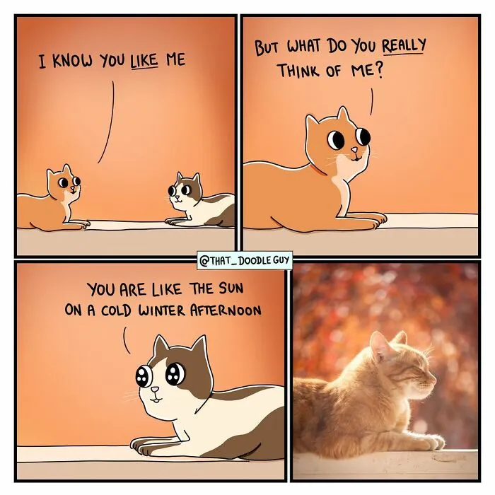 What I Think Happened Before These Popular Animal Pics Were Snapped (30 New Comics)