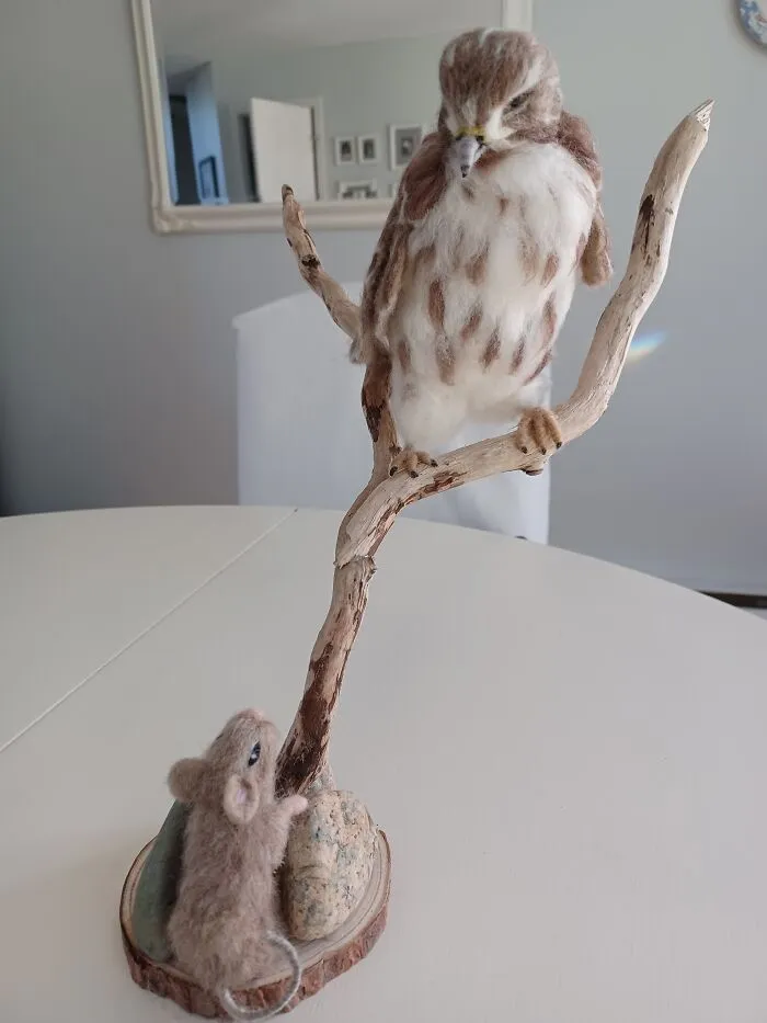 Red Tailed Hawk With Field Mouse