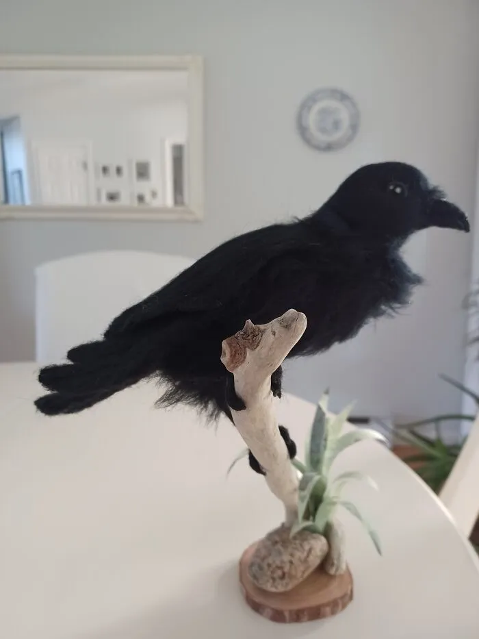Raven