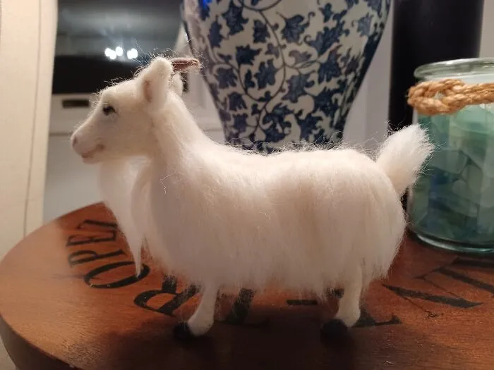 Goat