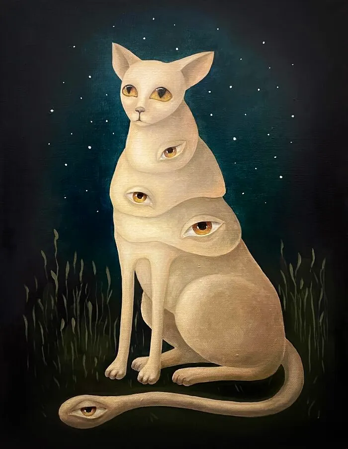 Observer