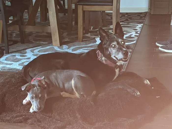 Why Did You Bring The Small One Home Mom?