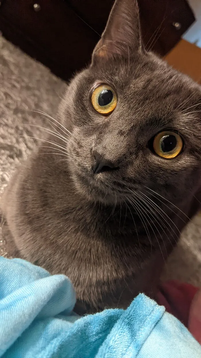 Jasper!!!