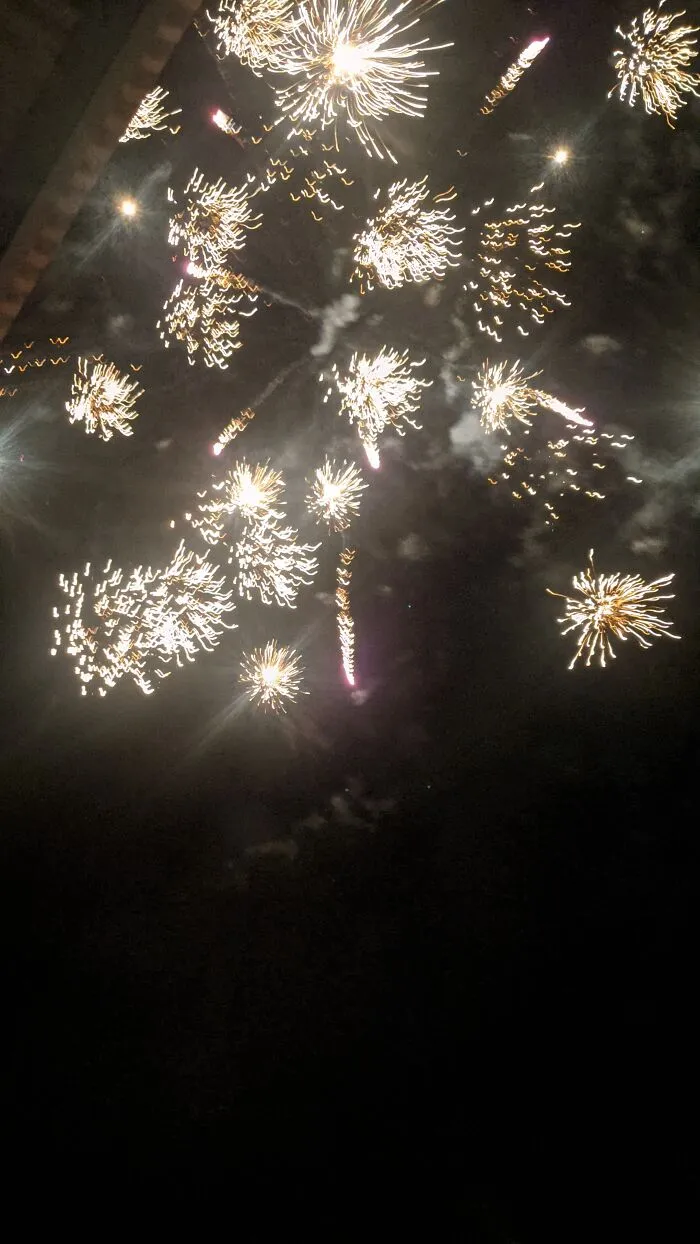 Hey Pandas, How Did You Spend Your New Years Eve? (Closed)