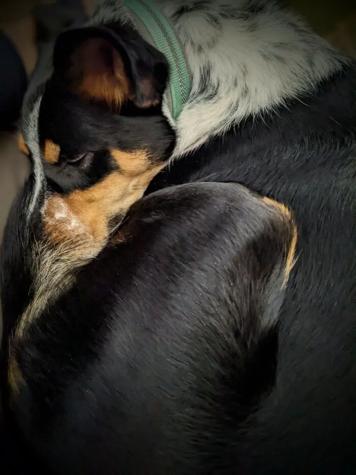 My Girl