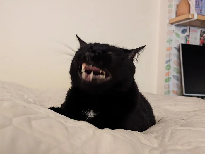 The Gate To The Void Is Now Open