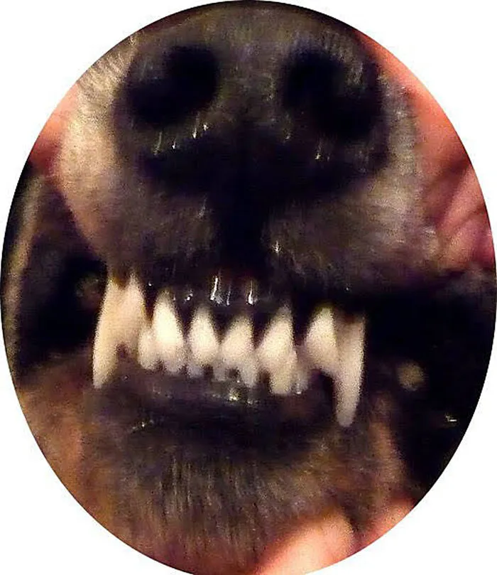 Smile, Pepper!