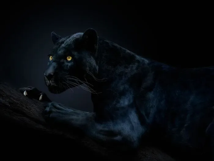 Jaguar