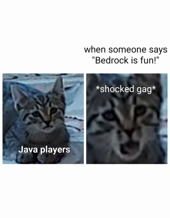 I Made Mine A Meme