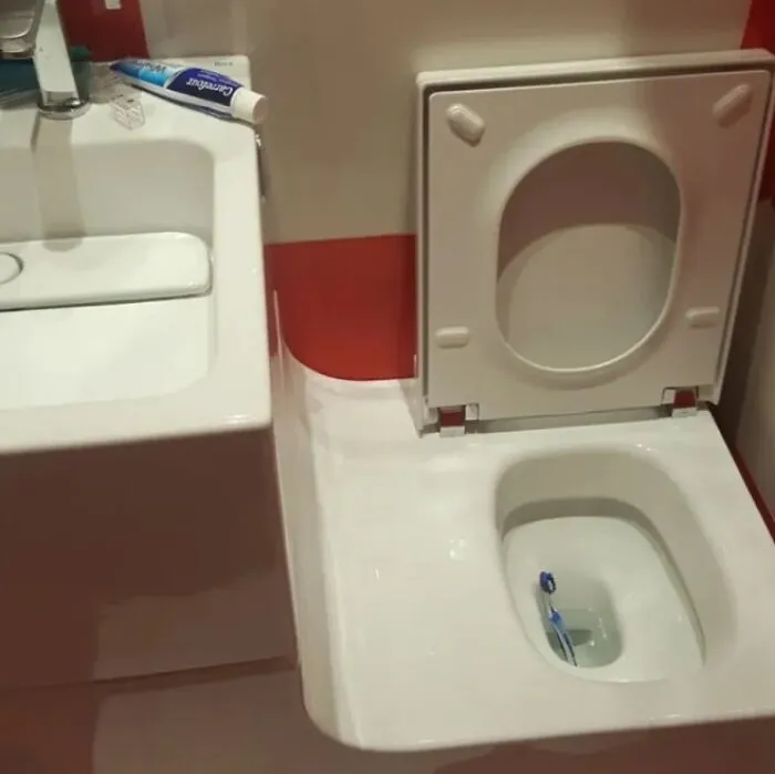 That's Why You Shut The Lid